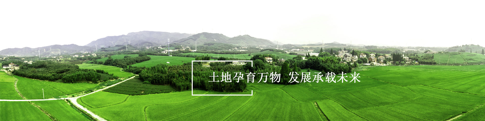淄博市土地發展集團有限公司